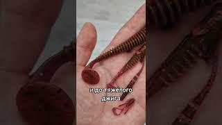 Приманки в этих цветах работают всегда! 3 лучших цвета резины
