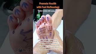 Promote Health with Foot Reflexology #FootReflexology #FootMassage  #footreflexology