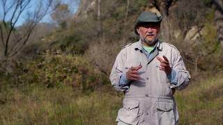 Growing the Ecosystem Restoration Camps Movement with Founder John D. Liu