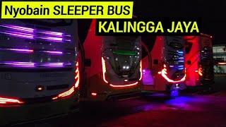 Pertama Kali Naik BUS SLEEPER Kalingga Jaya