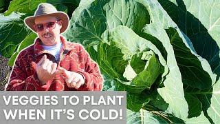 What Can You Plant Right Now? Winter Growing Tips