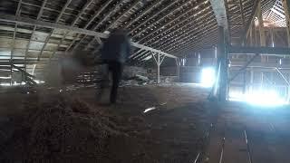 Timber frame barn restoration loft clean up.  You won't believe the difference! barn renovation