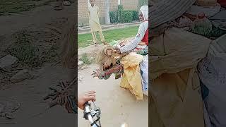 Khatarnak Bandar #multan #daily #viral /My YouTube channel Aneel Production