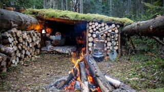 Built a secret shelter near fallen trees. Bushcraft in the wild forest. Survival skills in the wild!