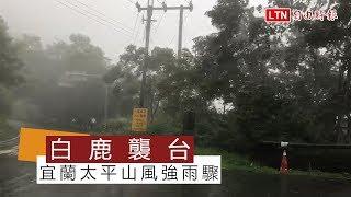 宜蘭不在颱風警戒區 太平山風強雨驟 (翻攝畫面)