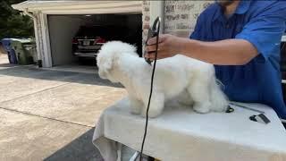 How the mighty have fallen, Jun The Groomer CERTIFIED ROOKIE