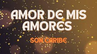 Amor De Mis Amores - Son Caribe | Lyric Video