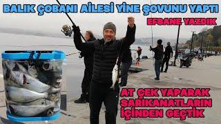 BALIK ÇOBANI AİLESİ AT ÇEK YAPARAK YİNE ŞOV YAPTI / STANBUL BOĞAZI SARIKANAT LÜFER AVI.EFSANE VİDEO