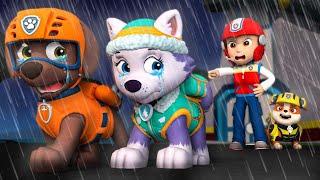 ZUMA, don't run away from home! Please don't leave us || Paw Patrol 3D Animation