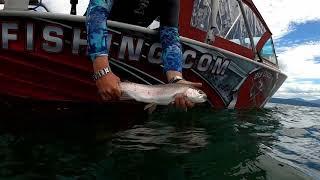 Rainbow Trout Fishing Lake Almanor California 2020