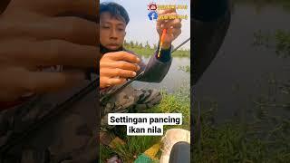 Settingan pancing ikan nila mudah strike || rangkaian pancing nila umpan lumut