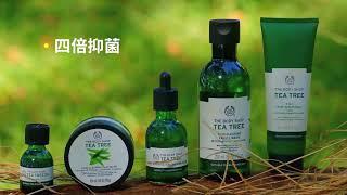 THE BODY SHOP防疫抗菌系列｜天然茶樹系列