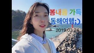 봄여행지 추천 -*/Spring trip in Korea !