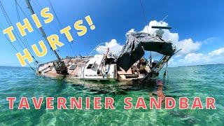 TAVERNIER KEY SANDBAR - Florida Keys - BOATING FUN 2022