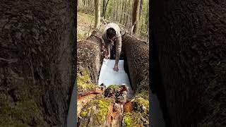 Bushcraft camp , survival shelter #shorts