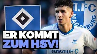 HSV verpflichtet ELFADLI vom 1.FC MAGDEBURG!?