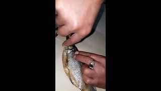 Эксклюзивная вяленая вобла из Астрахани !