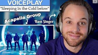 Professional Singer Reaction & Vocal ANALYSIS - VoicePlay | "Sleeping In the Cold Below"