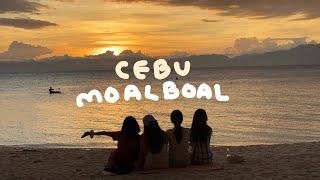 CEBU MOALBOAL VLOG:: 세부 모알보알 3박5일 여행