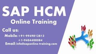 SAP HCM Training | Overview of added entries in SAP HCM | SAP HCM ENTERPRISE STRUCTURE