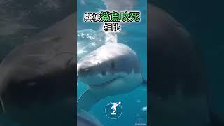 5個 你不知道的動物冷知識2023  #科普 #知識 #可愛動物 #無尾熊