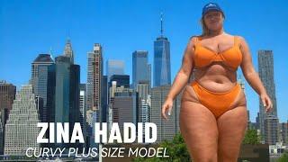 Zina Hadid  Wiki, Biography, Brand Ambassador, Age, Height, Weight, Lifestyle, Facts