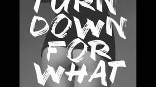 Juan Alcaraz x DJ Snake & Lil Jon x DY & NJ - Turn Down For What (Remix 2015)