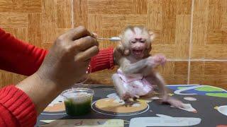 Sorri Baby..!! Mom Force A Tong To Eat After He Skip All Fruits Today