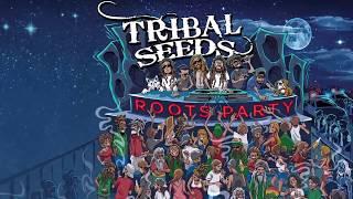 Tribal Seeds - Roots Party (Official Lyric Video)