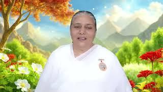 11 Mar 2025 आज की मुरली Aaj ki Murli Today's Murli BK Murli 11-3-25 - BK Usha Madhuban/Ruhani Udaan