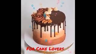 Special Feast for Cake lovers #shorts #YoutubeShorts #trending