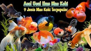 Mengenal 9 Jenis Ikan Mas Koki | Cara Pelihara Dan Tingkat Kesulitannya | Goldfish @MYstudioA3