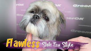 See How a Professional Transforms This Shih Tzu | Stunning Grooming Results!