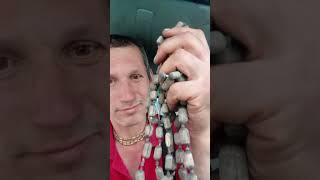 Акшая тритья для Ашоки, 30 04 25