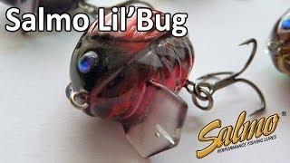 Salmo lil'bug