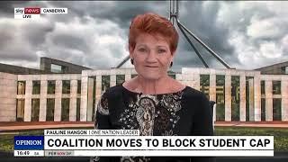 Pauline Hanson Fights for Free Speech and Takes a Stand on Australia’s Immigration Crisis