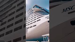 Msc Meraviglia Cruise ship with msc friend elsiio 🫶