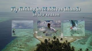 Fly fishing in Maldives Islands in low season Gt Giant Trevally Bluefin cost economic travel