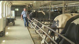 Pennsylvania brings dairy farms and food banks together during pandemic