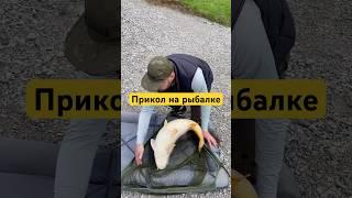 До конца #рыбалка #рыбалканафидер #карп #рыбалканаозере #carp #сазан #carpfishing
