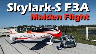 Skylark F3A RC Plane Maiden Flight