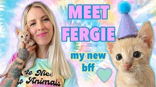 I Adopted Fergie, a Kitten with Kidney Disease