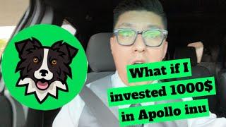 Apollo inu WHAT IF I INVESTED 1k