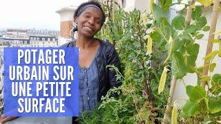 UN POTAGER SUR BALCON !