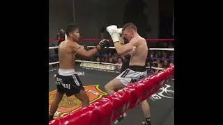 Muaythai Low Kick Destruction