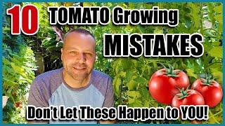 Tomato Growing Mistakes - How to Avoid or Fix Them...How to Grow Tomatoes.
