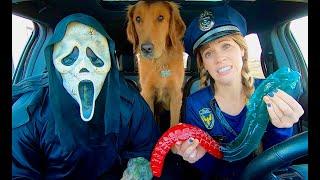 Police Surprises Puppy & Scream With Car Ride Chase
