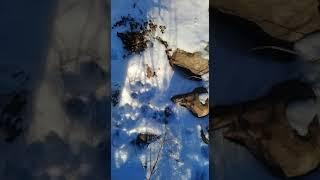 Видео Андрея Иванова Якутская Авиалесоохрана