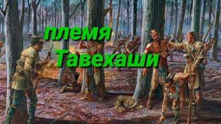 Тавехаши (индейцы Северной Америки)