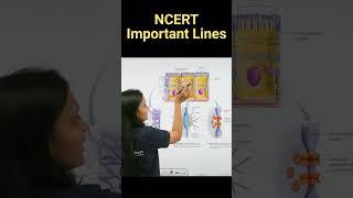 Types Of Cell Junctions | Biology NEET | NCERT important lines for NEET | #biology#ncert#neet